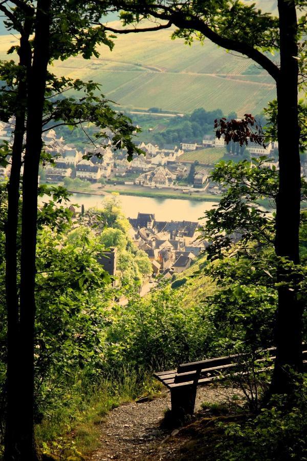 Mosel Panorama Διαμέρισμα Zell an der Mosel Εξωτερικό φωτογραφία