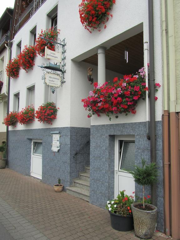 Mosel Panorama Διαμέρισμα Zell an der Mosel Εξωτερικό φωτογραφία