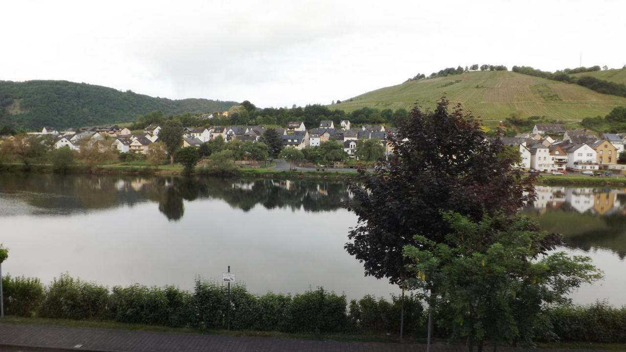 Mosel Panorama Διαμέρισμα Zell an der Mosel Εξωτερικό φωτογραφία